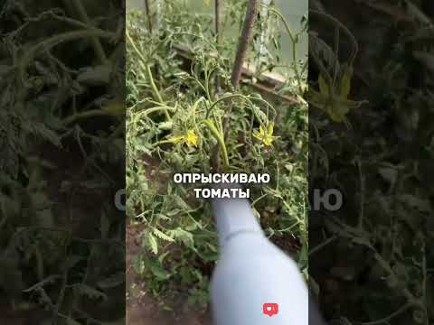 Борная кислота, самое важное для растений для цветков чтобы они не осыпались