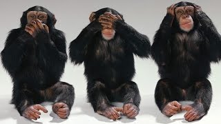 Hear No Evil Dark Secrets OUTTAKE: Monkey See No Evil. Speak No Evil. Have No Fun.  (funny) spoof