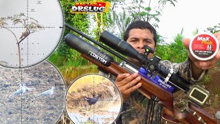 Hunting Tekukurmaxplok 15G 1060Fps Begini Jadinya