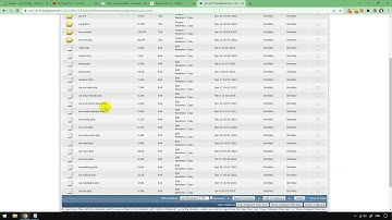 Cách xóa toàn bộ data của Woocommerce
