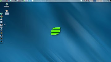 Salix again - my conclusion - recommendation and an update on the End of a far too long video