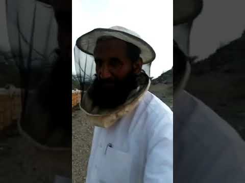 أعرف مصدر عسلكك وأطمئن
