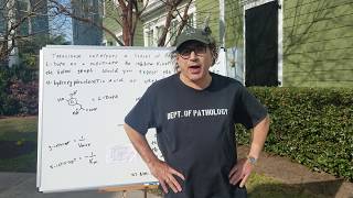 Enzymes and Inhibitors (High-Yield DAT Biology) Dr. Jim Romano | DAT Destroyer | OAT Destroyer