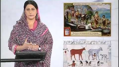 Physics - Fsc Part 1 Chapter 1  Origin and Classification of Science - Physics