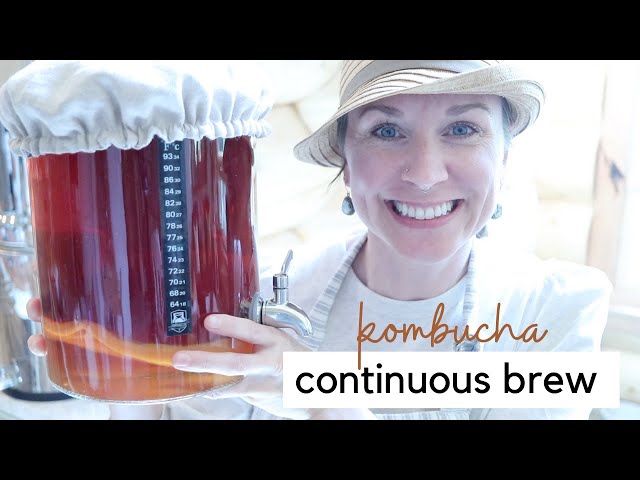 Homemade Kombucha: Continuous Brew