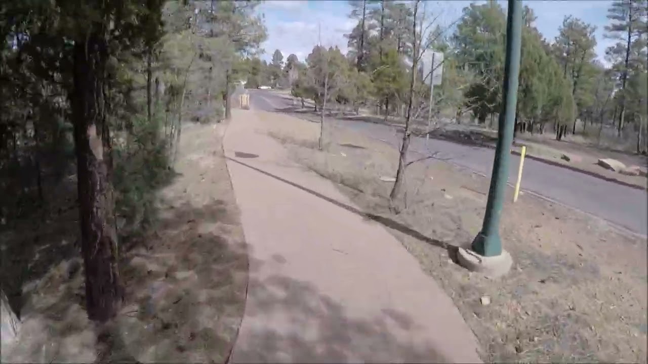 Daily ride through the pines