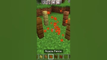 Minecraft Logic Magical Fence 😂 #shorts #viral #minecraft