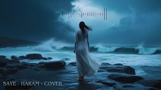 Taşacak Bu Deniz Dizi Müzikleri - Haram - Cover Resimi