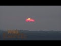 WildEarth - Sunrise - 18 June 2021
