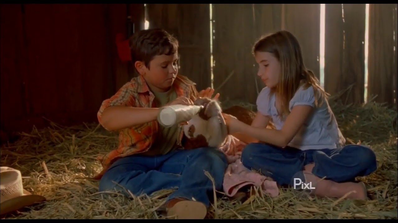 Grand Champion Trailer 2002 ‧ Family/Comedy drama ‧ Julia Roberts