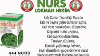 nurs lokman hekim bitkisel macunlar www nurssifalibitkiler com