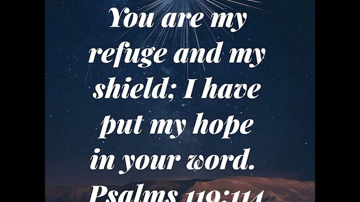 *Verse of the day|August 2nd, 2022|PSALMS 119:114|BIBLE VERSES