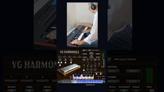 VG Harmonica Virtual Instrument VST AU Standalone app. #vgtrumpet #virtualinstruments screenshot 5