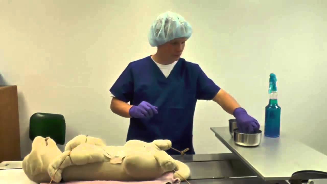 2015 Waukon FFA Vet Science Practicum Video YouTube