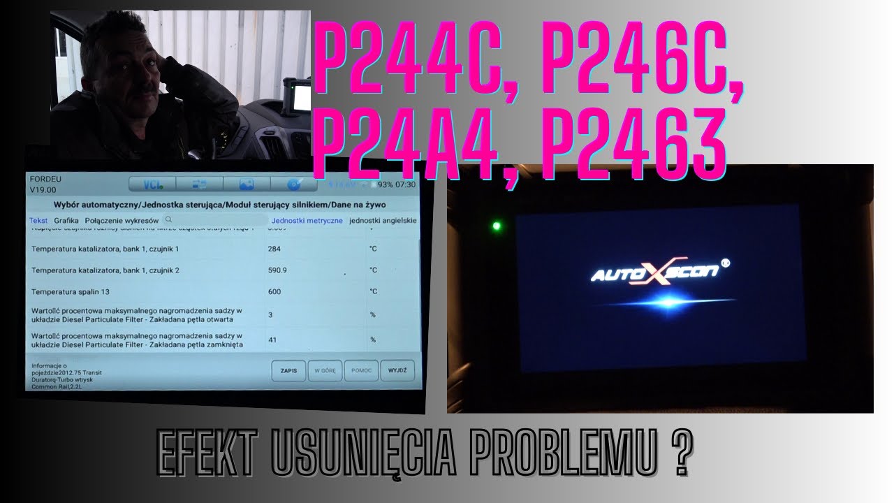 Cz.2 P244C, P246C, P24A4, P2463 co wyszło w parametrach? Jedziemy, sprawdzam system.