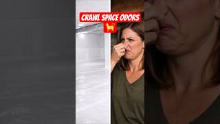 The Cat Pee Smell After Encapsulation #crawlspace