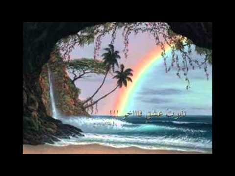 سامحتك أصالة