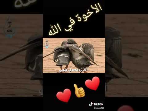 معنى الأخوة والصداقة الذي تكاد تنقرض