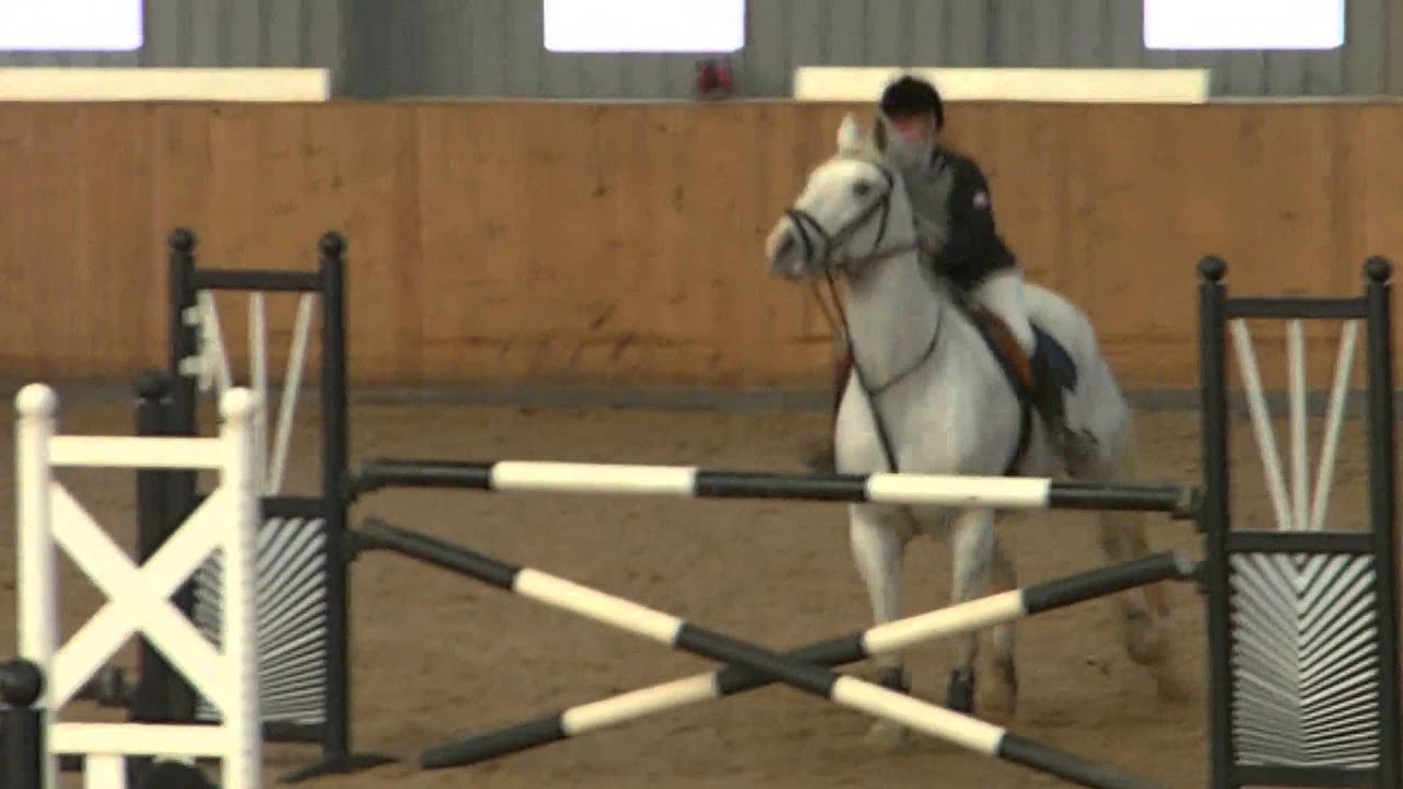 Kings Equestrian Bromyard YouTube