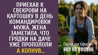 Приехав к свекрови на дачу в день командировки мужа, заметила, что грядки уже пропололи… А копнув…