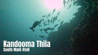 Kandooma Thila - South Male Atoll