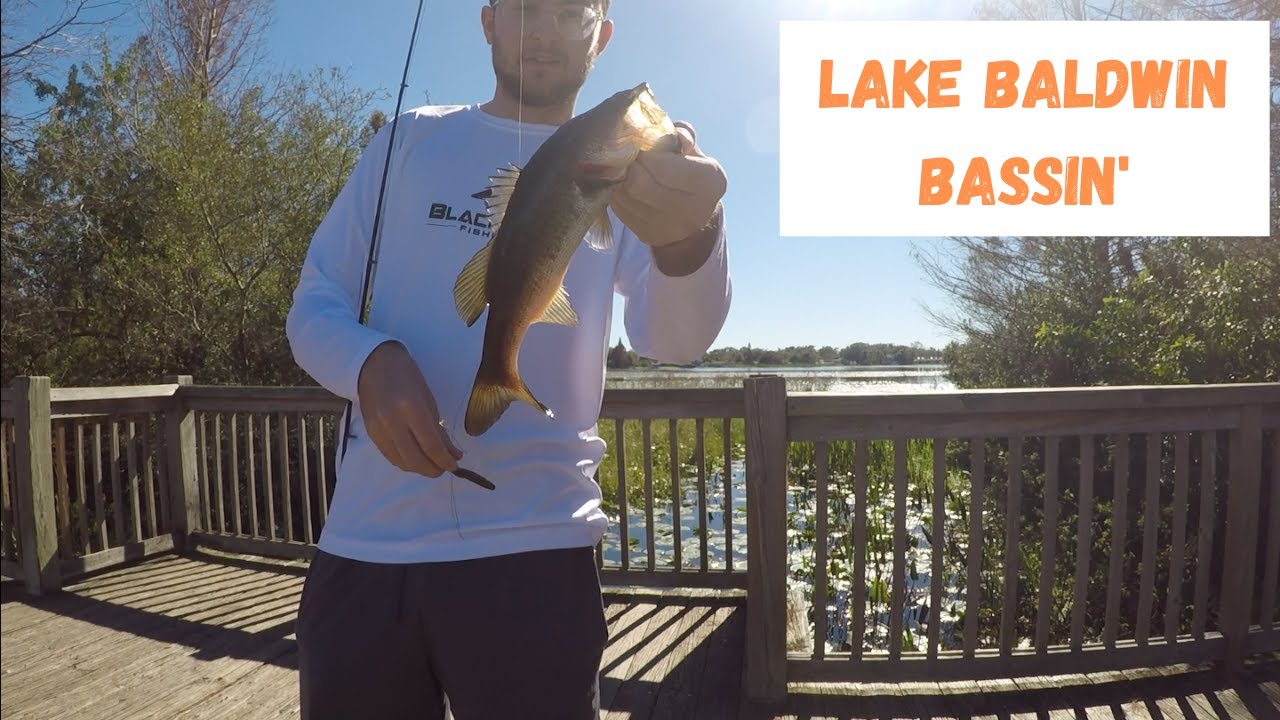 Bass Fishing Lake Baldwin and Lake Susannah (Orlando Florida) YouTube