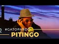 El Faro | Entrevista a Pitingo | 08/10/2019