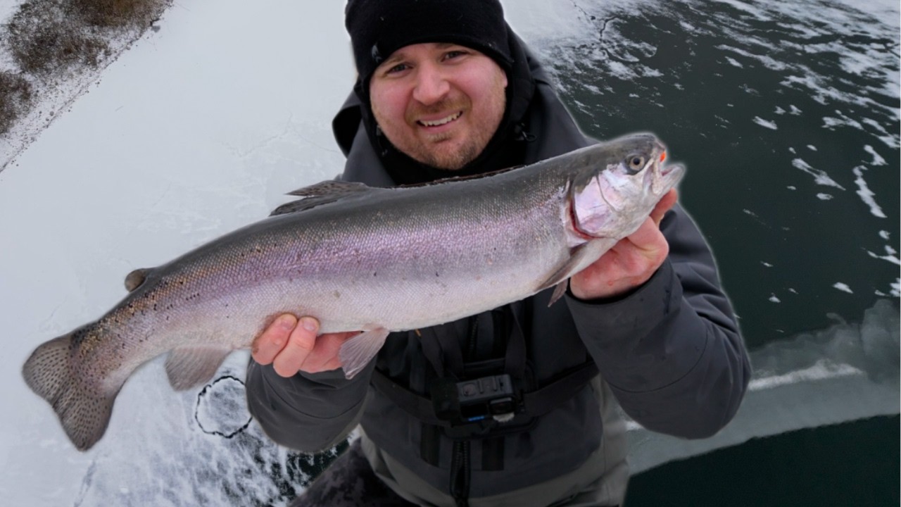 Sådan Kan Du Nemt Fange Fisk Om Vinteren I Put & Take!