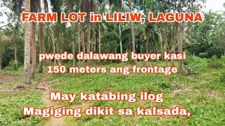 (P# 557) 1.9 Hectares Farm Lot Beside the beautiful river @ 350/sqm in Liliw, Laguna for sale