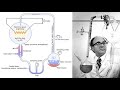 Miller and Urey’s Experiment |Evolution ||Class 12 Biology | #neet #biology #csirnet #evolution  