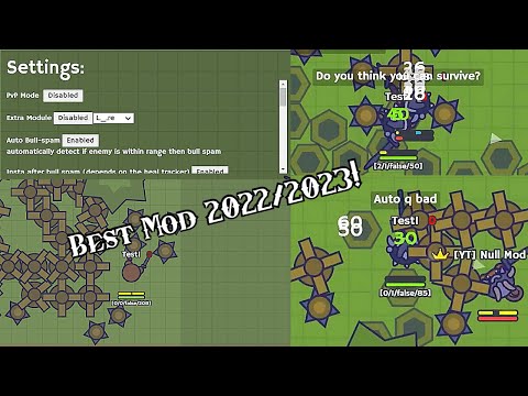 3 MooMoo.io Hitmen VS Best MooMoo.io Hacker (Private Server) 