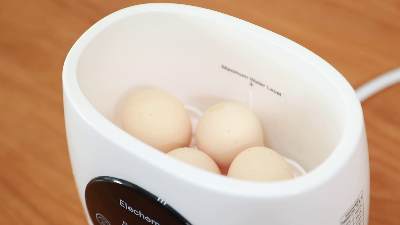 elechomes bottle warmer