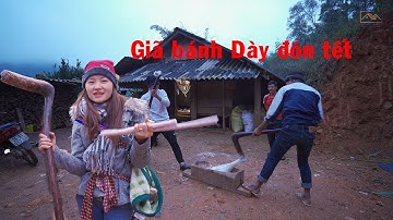 Giã bánh dày đón tết người mông trên Hoa My như thế nào | Hoa my family