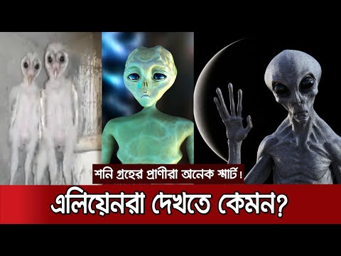 ভিডিও: প্রতারণার কি বহুবচন আছে?