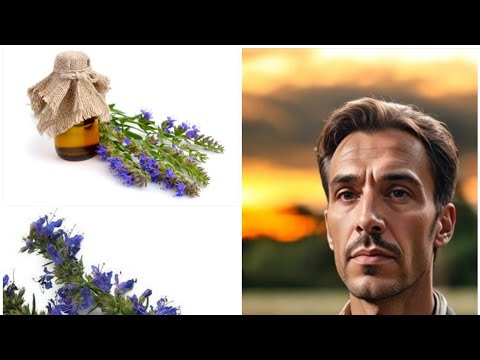 فوائد عشبة الزوفا استخداماتها العلاجية والصحية المذهلة