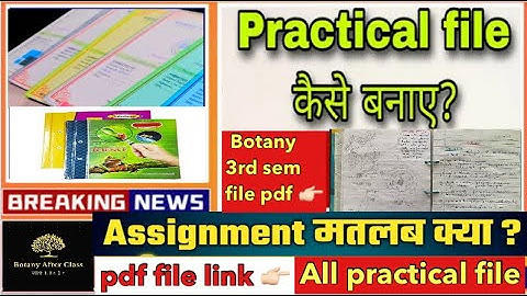 प्रैक्टिकल फाइल कैसे बनाते है / mjpru practical file kese banaye