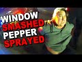 Karen gets WINDOW SMASHED and PEPPER SPRAYED During Arrest