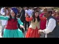 Pahari nati at wedding 2017  himachali folk dance part 2  latest himachali nati