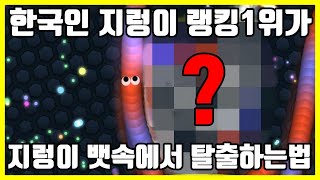 지렁이 꿀팁공개_#국뽕주의# ★ 지렁이키우기