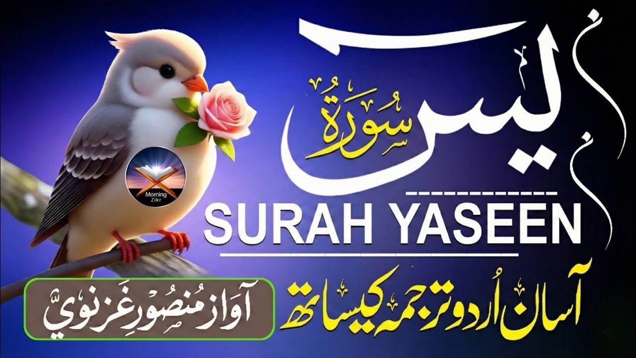 Surah Yasin (Yaseen) سورة يس | Beautiful & Peaceful Quran Recitation for the Heart #surahyaseen