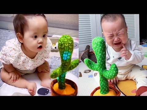 Babies play dancing cactus toy. Cutest baby funniest moments.