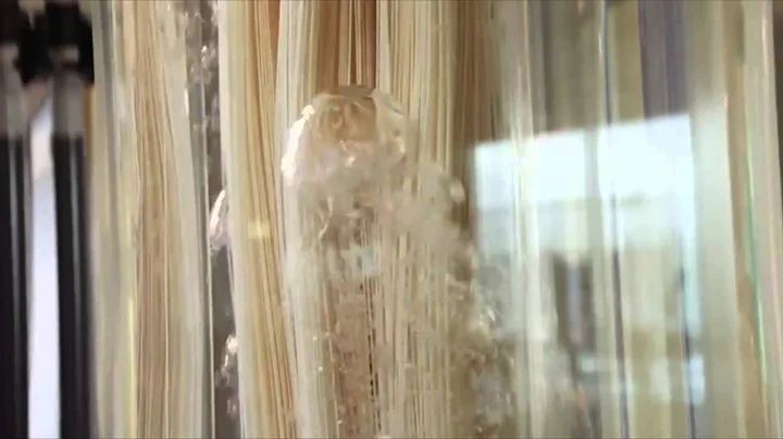 Ramson Zeeweed in Vadstena