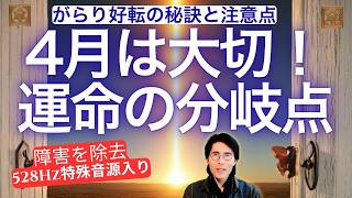 田宮陽子&西田普の部屋の配信のサムネイル画像