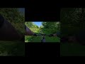 Nice easy trail Dover River #mtb #trails #mountainbike