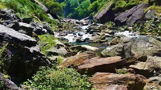 🇪🇸 🌳 A Capela (Encoro do Eume) (Tráiler) #Senderismo #Galicia #España
