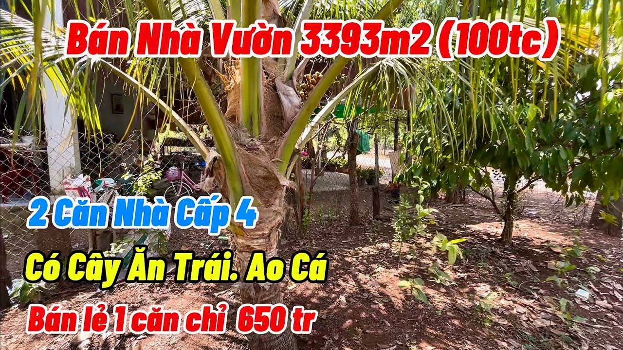 Bán 2 căn NHÀ VƯỜN cây ăn trái, ao cá. Khu dân đông sát bên quán xá buôn bán. Giá rẻ từ 650tr/căn.