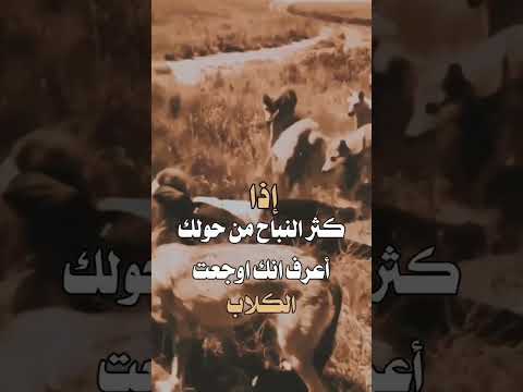 اذكرالله اكسبلور لاتاسفن على غدر الزمان لطالما رقصت على جثث الاسود كلاب مقاصدها بي رقصها تعلو على
