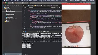 Xcode Swift Detect the Objects for Real Time Camera by using Machine Learning