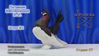 картинка: Питомник Масленникова В.И. Выпуск №2
