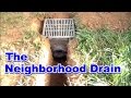 Back Yard Strom Drain collects neighborhood water